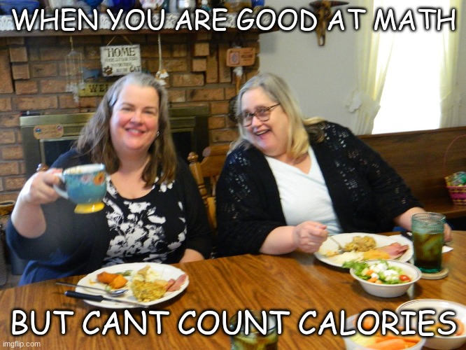 jennifer orrick | WHEN YOU ARE GOOD AT MATH; BUT CANT COUNT CALORIES | image tagged in fat | made w/ Imgflip meme maker