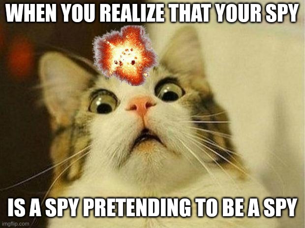 Scared Cat Meme | WHEN YOU REALIZE THAT YOUR SPY; IS A SPY PRETENDING TO BE A SPY | image tagged in memes,scared cat | made w/ Imgflip meme maker