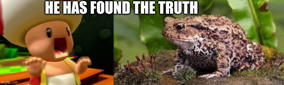 HE HAS FOUND THE TRUTH | image tagged in toad screaming,the real toad,oh no,lklklkllklklk,pppppppppppppppppppppp,l | made w/ Imgflip meme maker