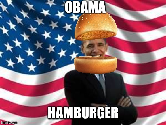Obama | OBAMA; HAMBURGER | image tagged in memes,obama | made w/ Imgflip meme maker