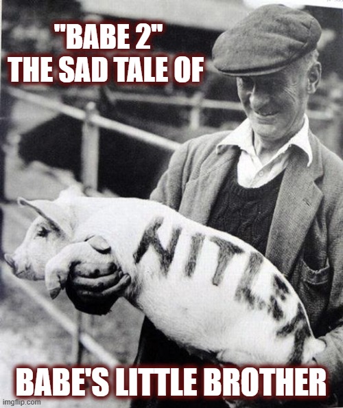 This little piggy didn't go to the Fair |  "BABE 2"
THE SAD TALE OF; BABE'S LITTLE BROTHER | image tagged in babe,pig,piggy,hitler | made w/ Imgflip meme maker