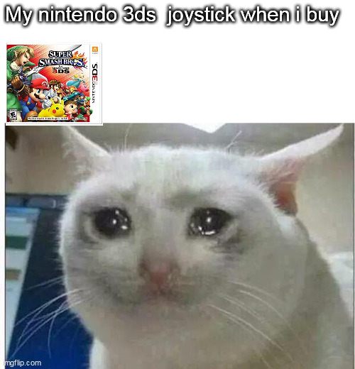 crying cat | My nintendo 3ds  joystick when i buy | image tagged in crying cat | made w/ Imgflip meme maker