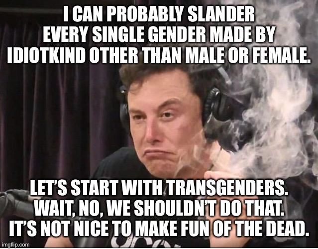Part 1 | I CAN PROBABLY SLANDER EVERY SINGLE GENDER MADE BY IDIOTKIND OTHER THAN MALE OR FEMALE. LET’S START WITH TRANSGENDERS. WAIT, NO, WE SHOULDN’T DO THAT. IT’S NOT NICE TO MAKE FUN OF THE DEAD. | image tagged in elon musk smoking a joint,balls | made w/ Imgflip meme maker