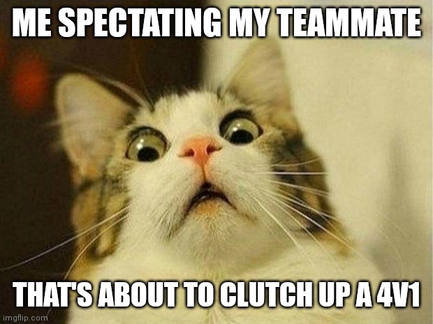 Scared Cat | ME SPECTATING MY TEAMMATE; THAT'S ABOUT TO CLUTCH UP A 4V1 | image tagged in memes,scared cat | made w/ Imgflip meme maker