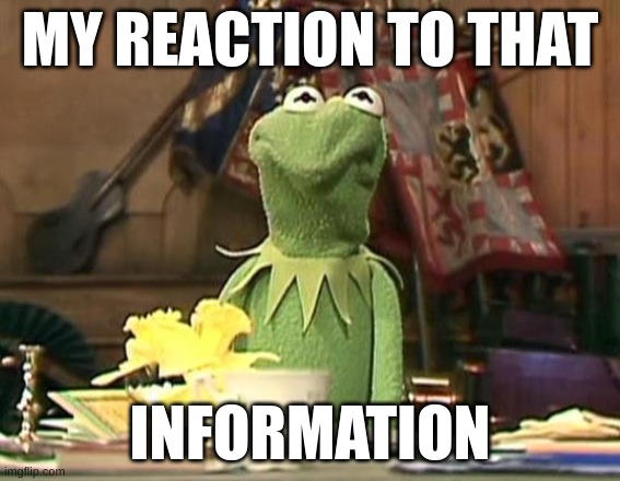 disgusted kermit | MY REACTION TO THAT INFORMATION | image tagged in disgusted kermit | made w/ Imgflip meme maker