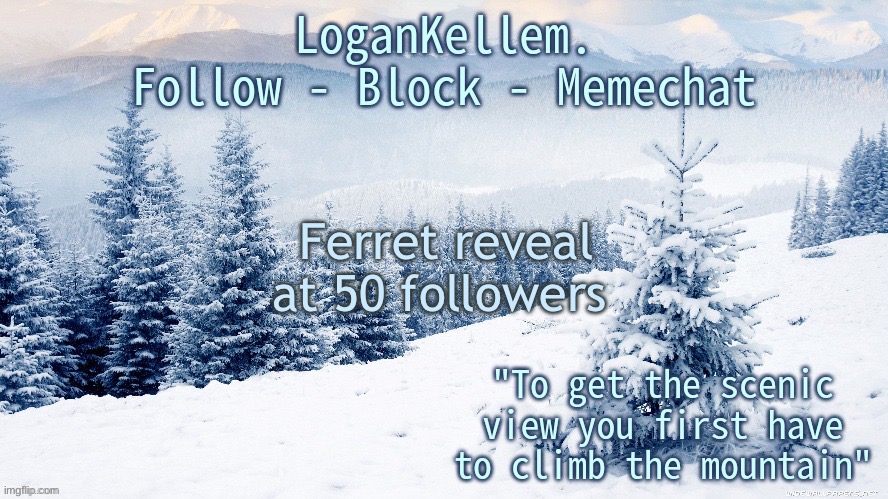 I’m currently at 45 | Ferret reveal at 50 followers | image tagged in logankellem announcement 4 0 | made w/ Imgflip meme maker