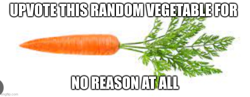 I did this to mess with the fricking lettuce that is the top fricking meme | UPVOTE THIS RANDOM VEGETABLE FOR; NO REASON AT ALL | image tagged in pissed | made w/ Imgflip meme maker