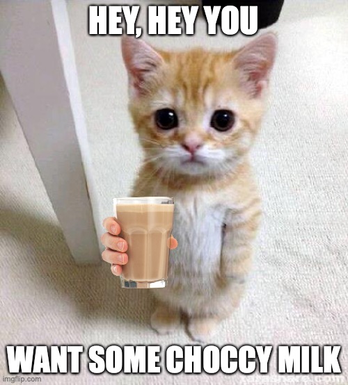 Cute Cat | HEY, HEY YOU; WANT SOME CHOCCY MILK | image tagged in memes,cute cat | made w/ Imgflip meme maker