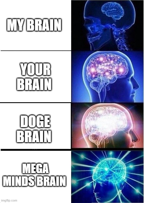 Expanding Brain | MY BRAIN; YOUR BRAIN; DOGE BRAIN; MEGA MINDS BRAIN | image tagged in memes,expanding brain | made w/ Imgflip meme maker