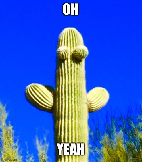 Huggy Cactus  | OH; YEAH | image tagged in huggy cactus | made w/ Imgflip meme maker
