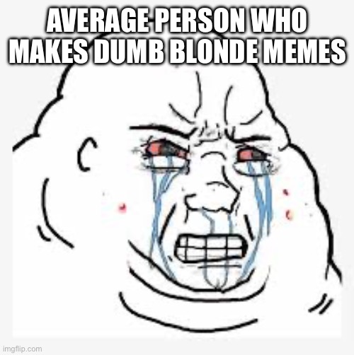 Angry Discord Mod | AVERAGE PERSON WHO MAKES DUMB BLONDE MEMES | image tagged in angry discord mod | made w/ Imgflip meme maker