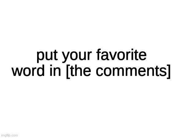 put your favorite word in [the comments] | made w/ Imgflip meme maker