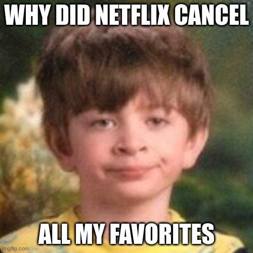 oh my gosh every year | WHY DID NETFLIX CANCEL; ALL MY FAVORITES | image tagged in annoyed face | made w/ Imgflip meme maker