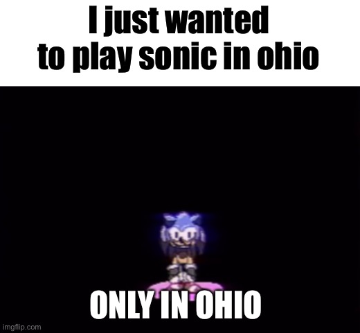 Oh no | I just wanted to play sonic in ohio; ONLY IN OHIO | image tagged in needlemouse stare | made w/ Imgflip meme maker
