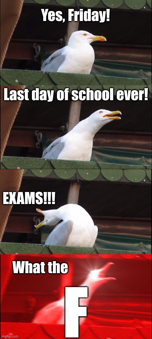 Exams | Yes, Friday! Last day of school ever! EXAMS!!! What the; F | image tagged in memes,inhaling seagull | made w/ Imgflip meme maker