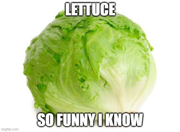 lettuce = funnyn't | LETTUCE; SO FUNNY I KNOW | image tagged in lettuce | made w/ Imgflip meme maker