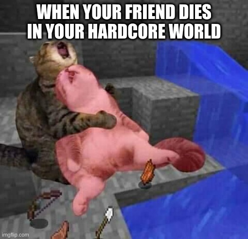 Dead minecraft cat meme | WHEN YOUR FRIEND DIES IN YOUR HARDCORE WORLD | image tagged in dead minecraft cat meme | made w/ Imgflip meme maker