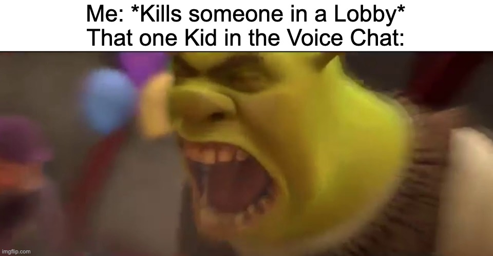 AAAAAAAAAAAAAAAAAAAAAAAAAAAAAAAAAAAAAAAAAAAAAAAAAAAAAAAAAAAAAAAAAAAAAAAAAAAAAAAAAAAAAAAAAAAAAAAAAAAAAAAAAAAAAAAAAAA | Me: *Kills someone in a Lobby*
That one Kid in the Voice Chat: | image tagged in shrek screaming,memes,toxic,gaming,relatable memes,online gaming | made w/ Imgflip meme maker