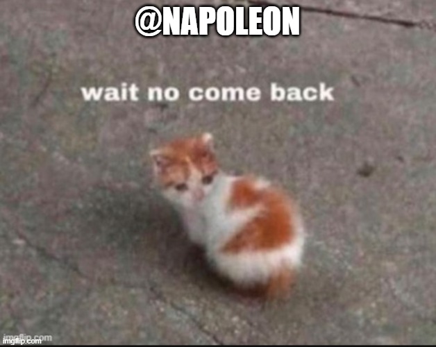 Good friend | @NAPOLEON | image tagged in wait no come back | made w/ Imgflip meme maker
