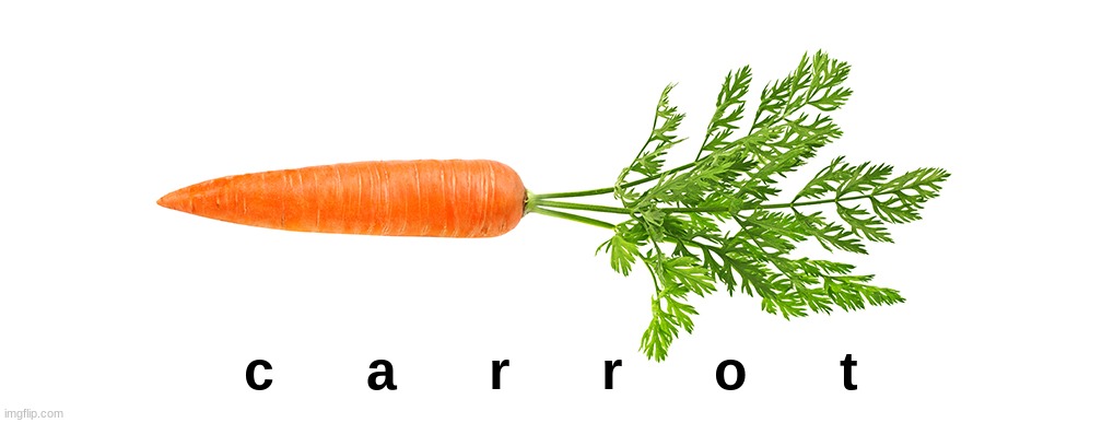 carrot | c      a      r      r      o      t | image tagged in carrots | made w/ Imgflip meme maker