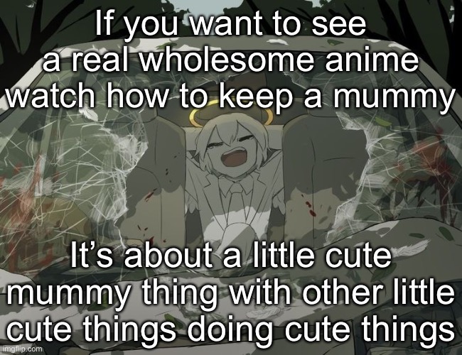 Avogado6 | If you want to see a real wholesome anime watch how to keep a mummy; It’s about a little cute mummy thing with other little cute things doing cute things | image tagged in avogado6 | made w/ Imgflip meme maker