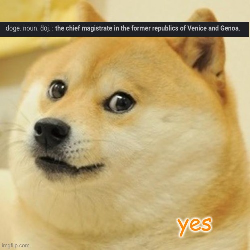 wut | yes | image tagged in memes,doge | made w/ Imgflip meme maker