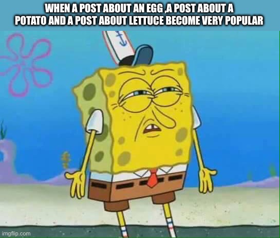 How? | WHEN A POST ABOUT AN EGG ,A POST ABOUT A POTATO AND A POST ABOUT LETTUCE BECOME VERY POPULAR | image tagged in confused spongebob | made w/ Imgflip meme maker