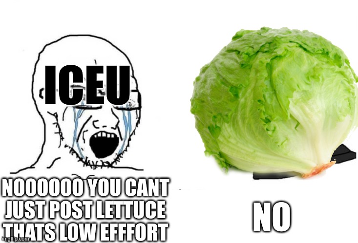 Nooo lettucegj  ye hi G r | ICEU; NOOOOOO YOU CANT JUST POST LETTUCE THATS LOW EFFFORT; NO | image tagged in lettuce | made w/ Imgflip meme maker