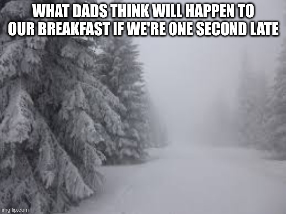 True | WHAT DADS THINK WILL HAPPEN TO OUR BREAKFAST IF WE'RE ONE SECOND LATE | image tagged in bleak winter | made w/ Imgflip meme maker