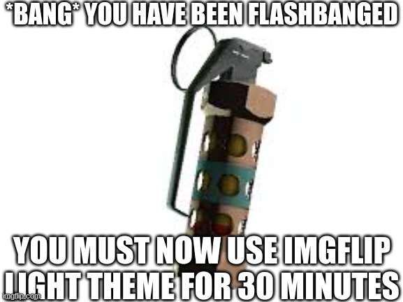 BANG! | *BANG* YOU HAVE BEEN FLASHBANGED; YOU MUST NOW USE IMGFLIP LIGHT THEME FOR 30 MINUTES | image tagged in flashbang | made w/ Imgflip meme maker