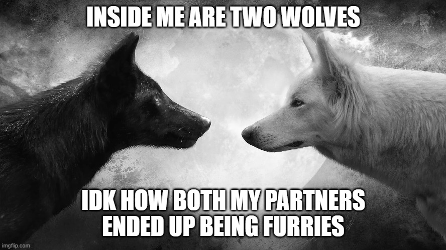 Two Wolves | INSIDE ME ARE TWO WOLVES; IDK HOW BOTH MY PARTNERS ENDED UP BEING FURRIES | image tagged in you have two wolves | made w/ Imgflip meme maker