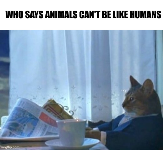 Animals be like | WHO SAYS ANIMALS CAN'T BE LIKE HUMANS | image tagged in memes,i should buy a boat cat | made w/ Imgflip meme maker