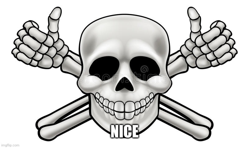 THUMBS UP SKULL AND CROSS BONES | NICE | image tagged in thumbs up skull and cross bones | made w/ Imgflip meme maker