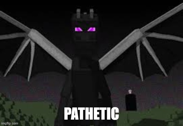 Ender dragon | PATHETIC | image tagged in ender dragon | made w/ Imgflip meme maker