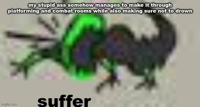 suffer | my stupid ass somehow manages to make it through platforming and combat rooms while also making sure not to drown | image tagged in suffer | made w/ Imgflip meme maker