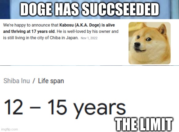 LESSSSS GOOOOOO | DOGE HAS SUCCSEEDED; THE LIMIT | image tagged in doge,doge 2 | made w/ Imgflip meme maker