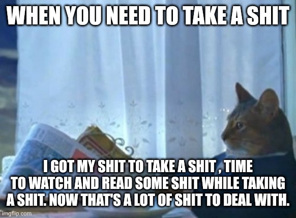 We don't just go to the bathroom. | WHEN YOU NEED TO TAKE A SHIT; I GOT MY SHIT TO TAKE A SHIT , TIME TO WATCH AND READ SOME SHIT WHILE TAKING A SHIT. NOW THAT'S A LOT OF SHIT TO DEAL WITH. | image tagged in memes,i should buy a boat cat,funny,toilet humor | made w/ Imgflip meme maker