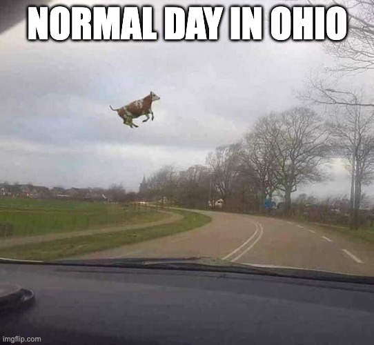 ckeck the tags | NORMAL DAY IN OHIO | image tagged in mwahahaha,you have been eternally cursed for reading the tags | made w/ Imgflip meme maker