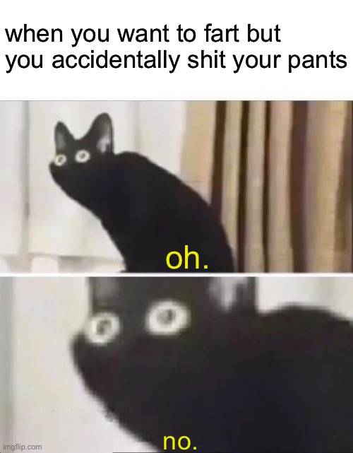 shiz | when you want to fart but you accidentally shit your pants; oh. no. | image tagged in oh no black cat,fun,fresh memes | made w/ Imgflip meme maker