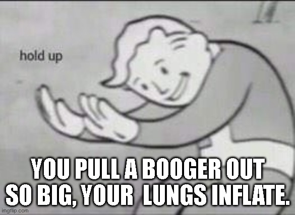 Fallout Hold Up | YOU PULL A BOOGER OUT SO BIG, YOUR  LUNGS INFLATE. | image tagged in fallout hold up | made w/ Imgflip meme maker