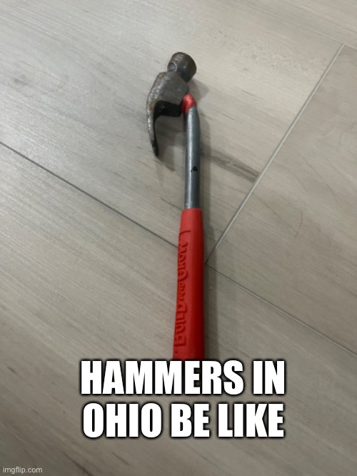 HAMMERS IN OHIO BE LIKE | image tagged in funny memes | made w/ Imgflip meme maker