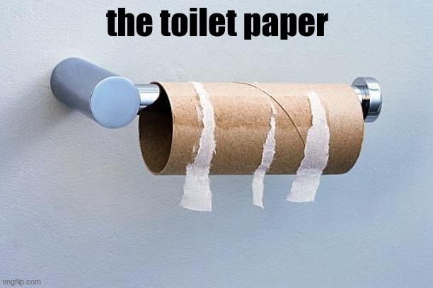 No More Toilet Paper | the toilet paper | image tagged in no more toilet paper | made w/ Imgflip meme maker
