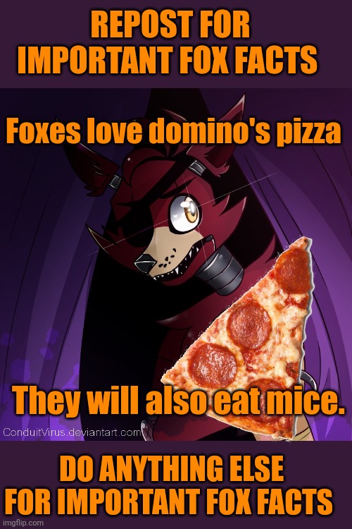 What brand of pizza is best? Foxes know. | REPOST FOR IMPORTANT FOX FACTS; Foxes love domino's pizza; They will also eat mice. DO ANYTHING ELSE FOR IMPORTANT FOX FACTS | image tagged in fox,facts | made w/ Imgflip meme maker