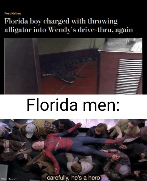 Florida Boy's a Hero | Florida men: | image tagged in carefully he's a hero,florida man | made w/ Imgflip meme maker
