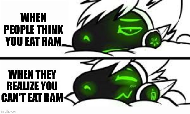 idk | WHEN PEOPLE THINK YOU EAT RAM; WHEN THEY REALIZE YOU CAN'T EAT RAM | image tagged in drake format but a protogen | made w/ Imgflip meme maker
