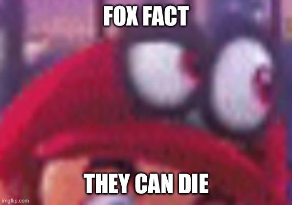 Cappy eyebrow | FOX FACT; THEY CAN DIE | image tagged in cappy eyebrow | made w/ Imgflip meme maker