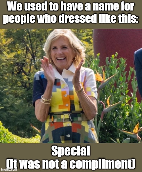 We used to have a name for people who dressed like this:; Special
(it was not a compliment) | image tagged in jill biden,fashion victim,ugly | made w/ Imgflip meme maker