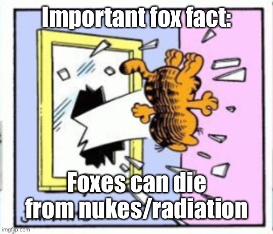 Garfield gets thrown out of a window | Important fox fact:; Foxes can die from nukes/radiation | image tagged in garfield gets thrown out of a window | made w/ Imgflip meme maker