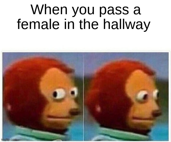 Its tru tho | When you pass a female in the hallway | image tagged in memes,monkey puppet,school,female | made w/ Imgflip meme maker