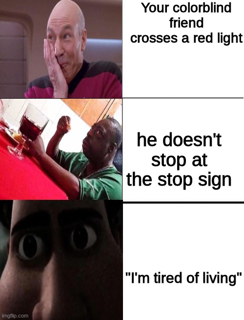 ,_, | Your colorblind friend crosses a red light; he doesn't stop at the stop sign; "I'm tired of living" | image tagged in blank 3 panel,memes,funny | made w/ Imgflip meme maker